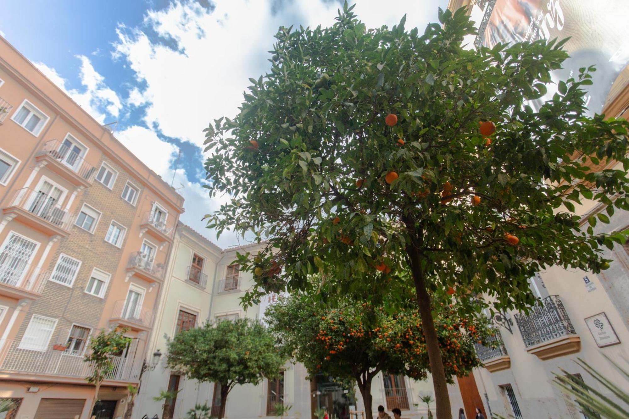 Vlc - Tranquilo Apartamento En Plaza Cisneros Valencia Buitenkant foto