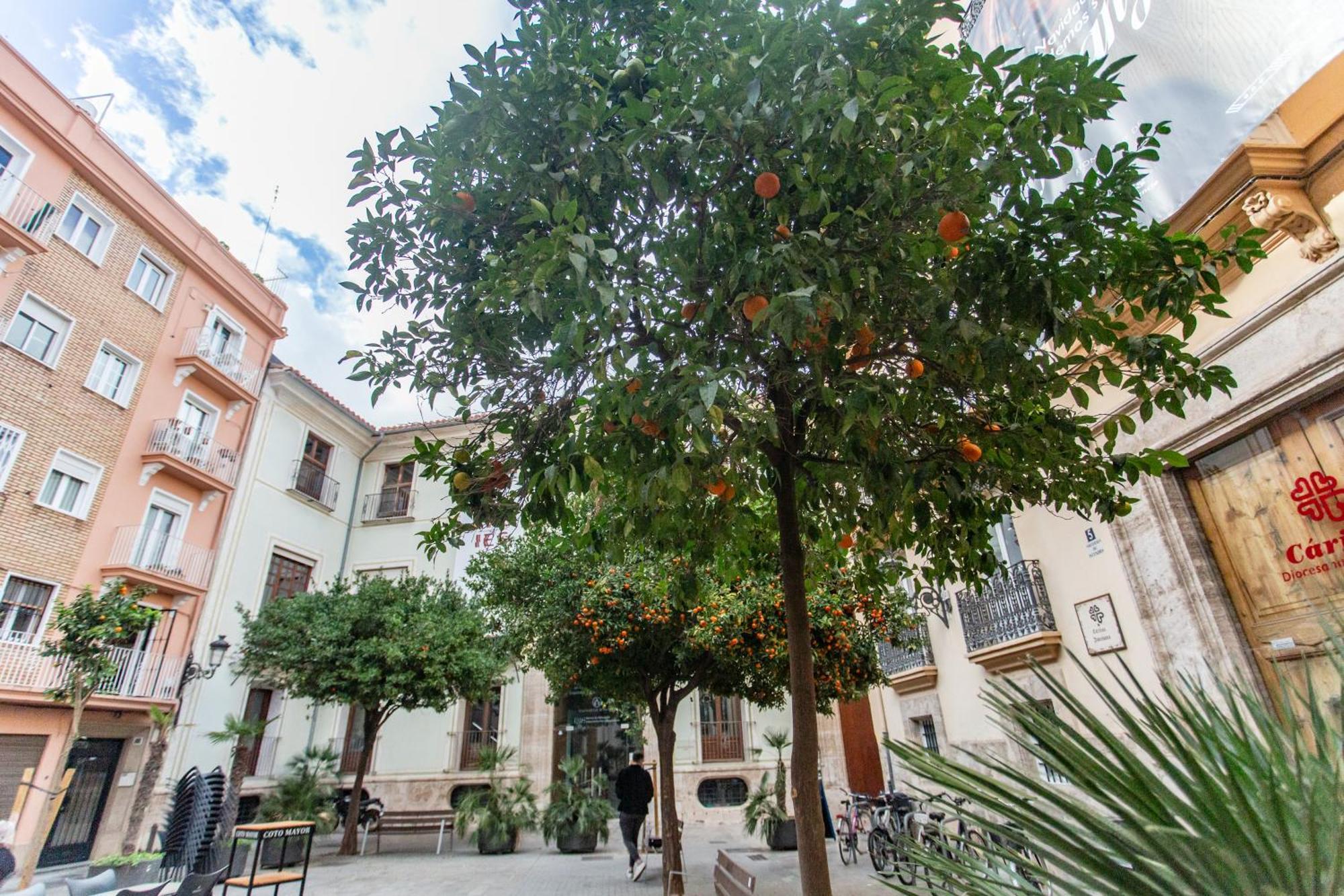 Vlc - Tranquilo Apartamento En Plaza Cisneros Valencia Buitenkant foto